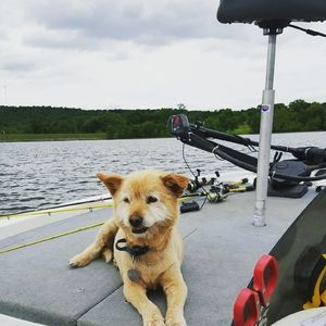 Meet your Posher, Toni